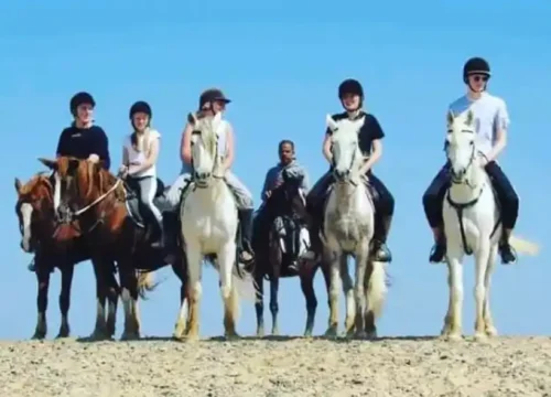 Horseback Riding in Hurghada-PRIVATE TRIP