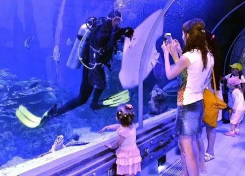 Grand Aquarium Hurghada