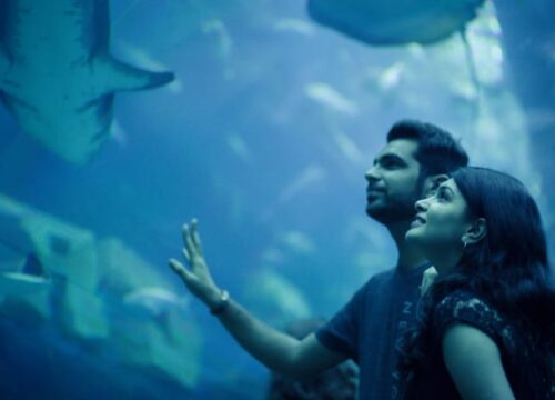 Dubai Aquarium and Underwater Zoo