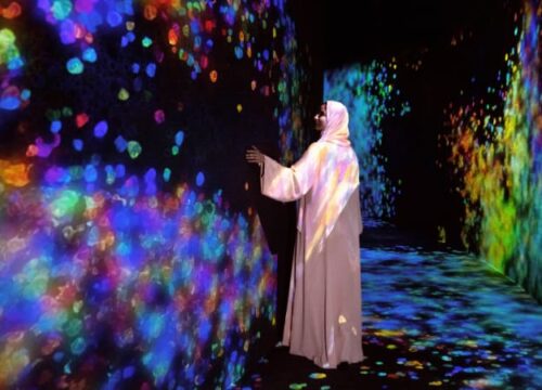 Teamlab Phenomena