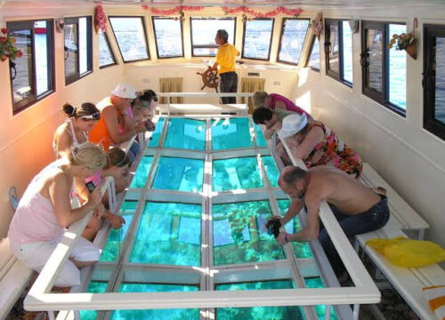 Glass Bottom Boat Trip in Sharm El Sheikh