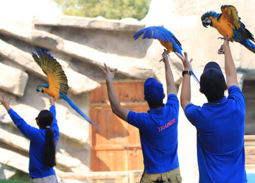Emirates Park Zoo