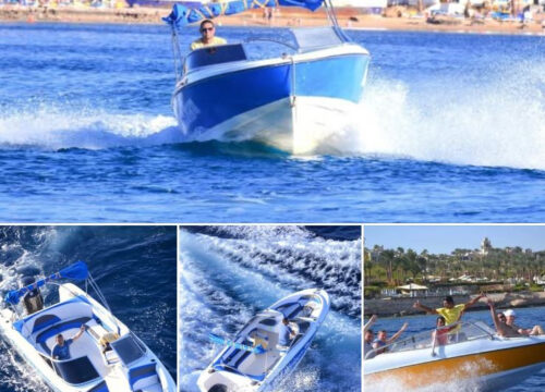 Private Speed Boat Snorkeling Trip to Tiran Island