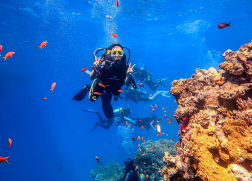 Diving At Tiran Island in sharm el sheikh