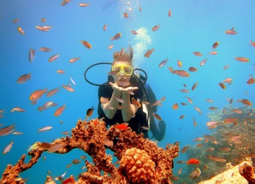 Diving and Fun In Sharm El Sheikh