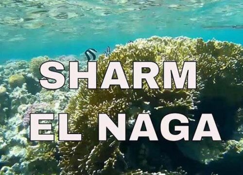 NATIONAL PARK SHARM EL NAGA FROM HURGHADA