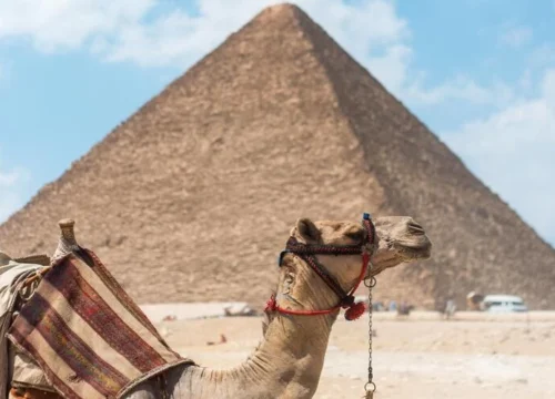 Tour To Pyramids and The Egyptian Museum