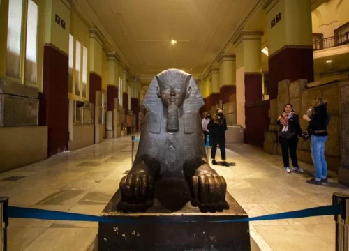 Half Day Egyptian Museum Tour